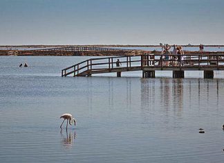 Muere un hombre de 75 años cuando se bañaba en los lodos de Lo Pagán