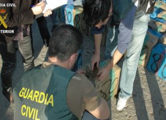 Golpe a los robos en Lo Ferro